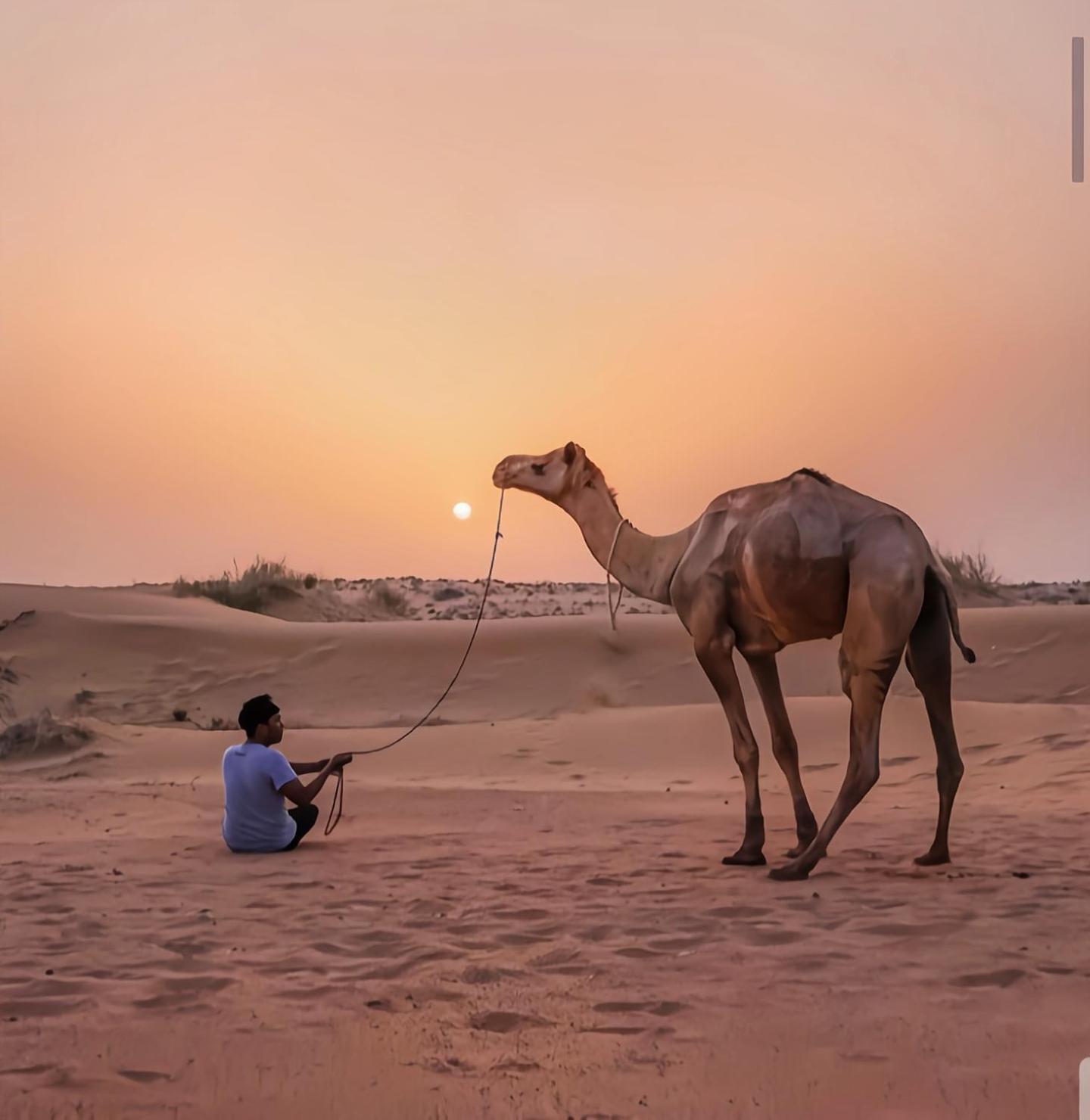 The Saffron Desert Camp Jaisalmer Dış mekan fotoğraf